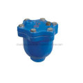 Specialized in Manufacturing Apvx Exhaust Valve